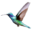 Hummingbird