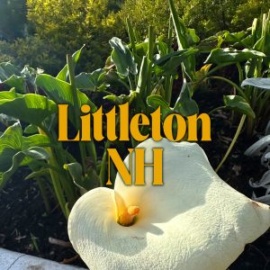Littleton, New Hampshire - June 2026